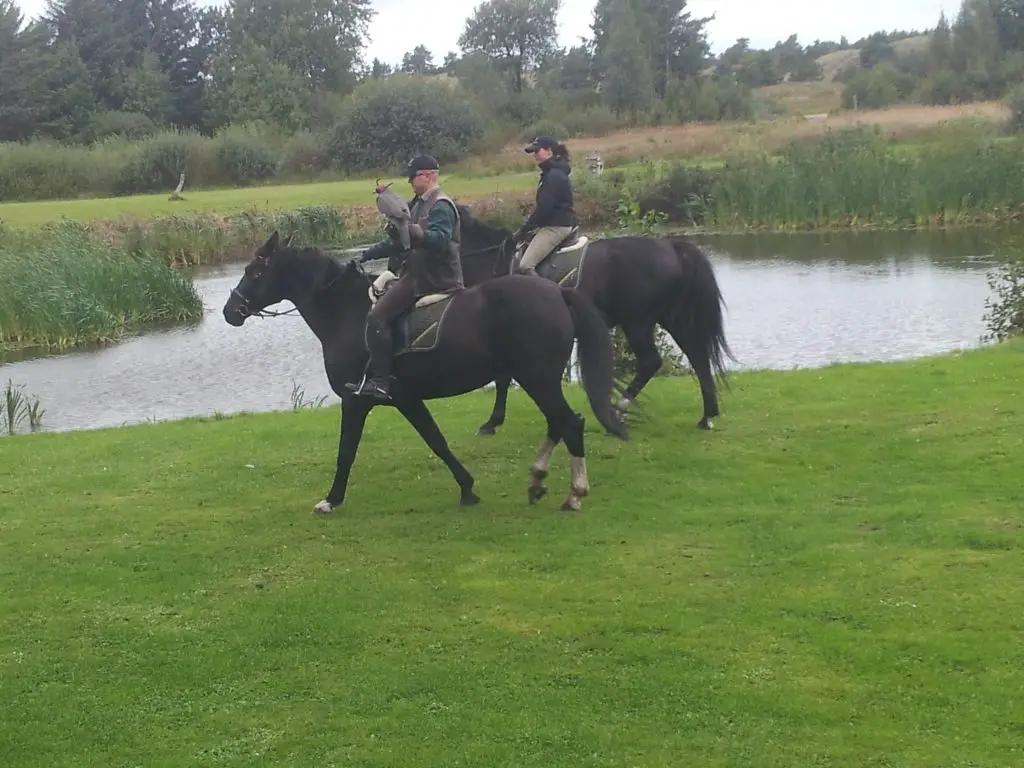 Billede fra 2012